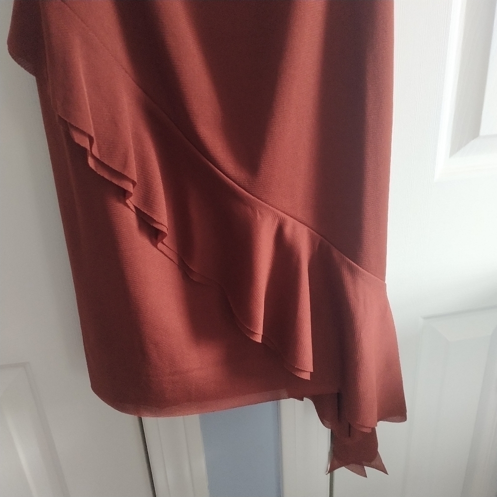 Nordstrom Open Edit Ruffle Mesh Mini Dress Rust Cherry S - Picture 5 of 11